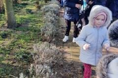 85157419_1528573807292161_8895050245528879104_n