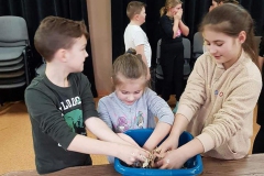 85194509_1528863667263175_5602539796862861312_n