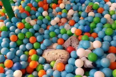 85225895_1527679504048258_2125216231140098048_n