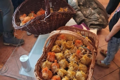 86261204_1529734630509412_2608207989592555520_n