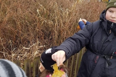 86348330_1529736683842540_6533981915463024640_n