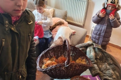 86377977_1529734880509387_3065562396765454336_n