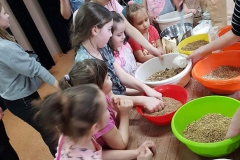 86430135_1528863740596501_2085963060438106112_n