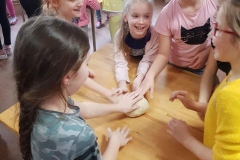 86457080_1528863000596575_3672348770684633088_n