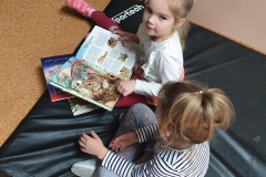 86457515_1527741370708738_6370615240857485312_n