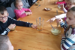 86464123_1532393283576880_565343431321190400_n