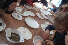 86466845_1532492663566942_8002997241935560704_n