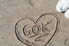 86469416_1528573747292167_2366343275754815488_n