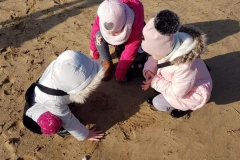 86471909_1528574183958790_8222507441271603200_n