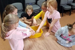 86490160_1528863607263181_1793591713042792448_n