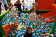 86697893_1527679280714947_543440390896746496_n