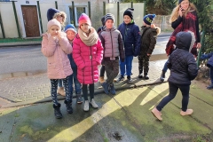 86933724_1533251640157711_7392638726536429568_n