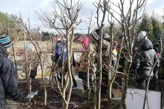 86983762_1533257843490424_3740011638221176832_n