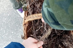 87270350_1532393193576889_119159001429573632_n